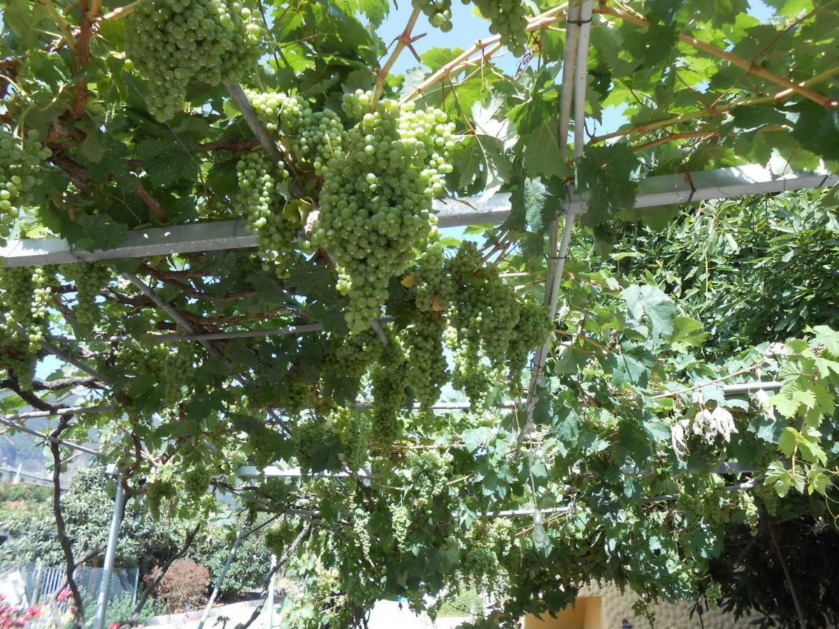Casitas Las Uvas Y Las Vinas Los Realejos Bagian luar foto