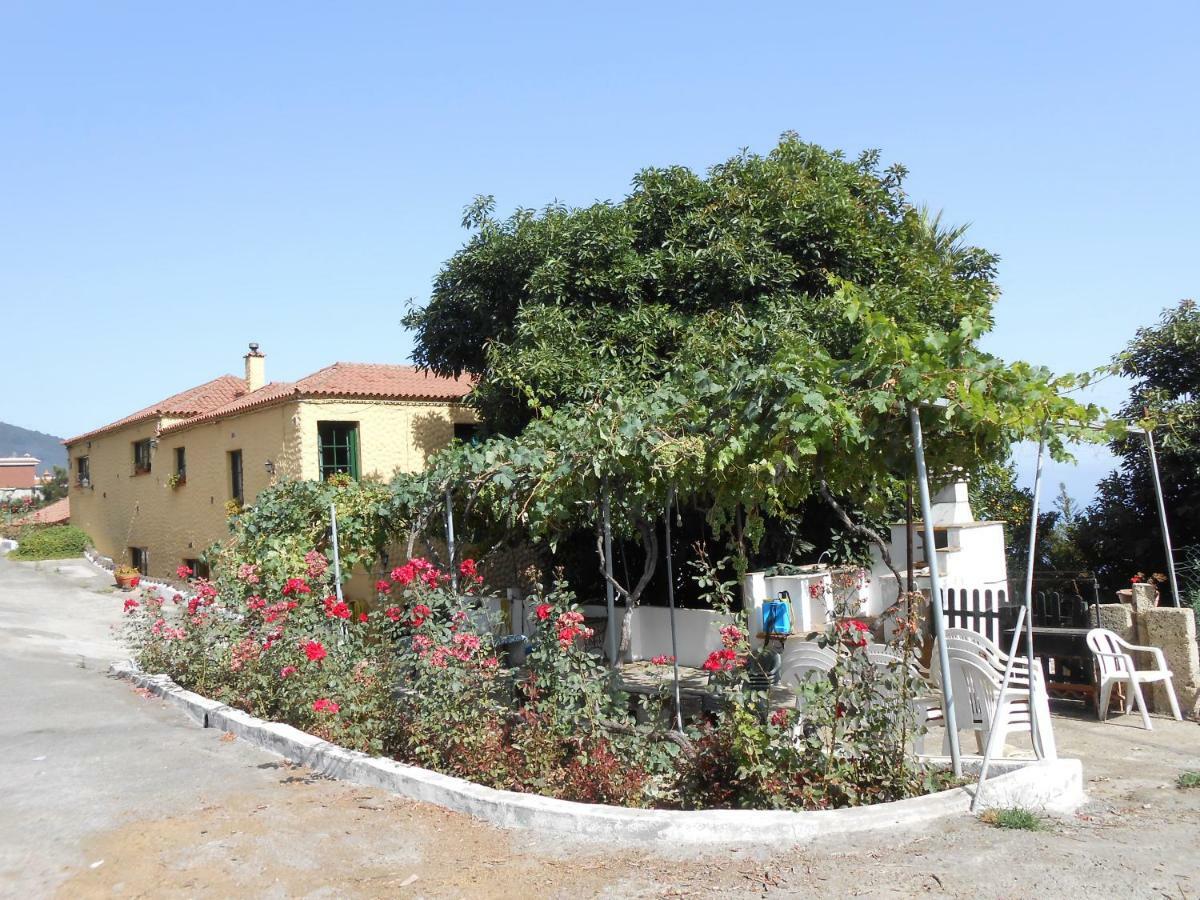 Casitas Las Uvas Y Las Vinas Los Realejos Bagian luar foto