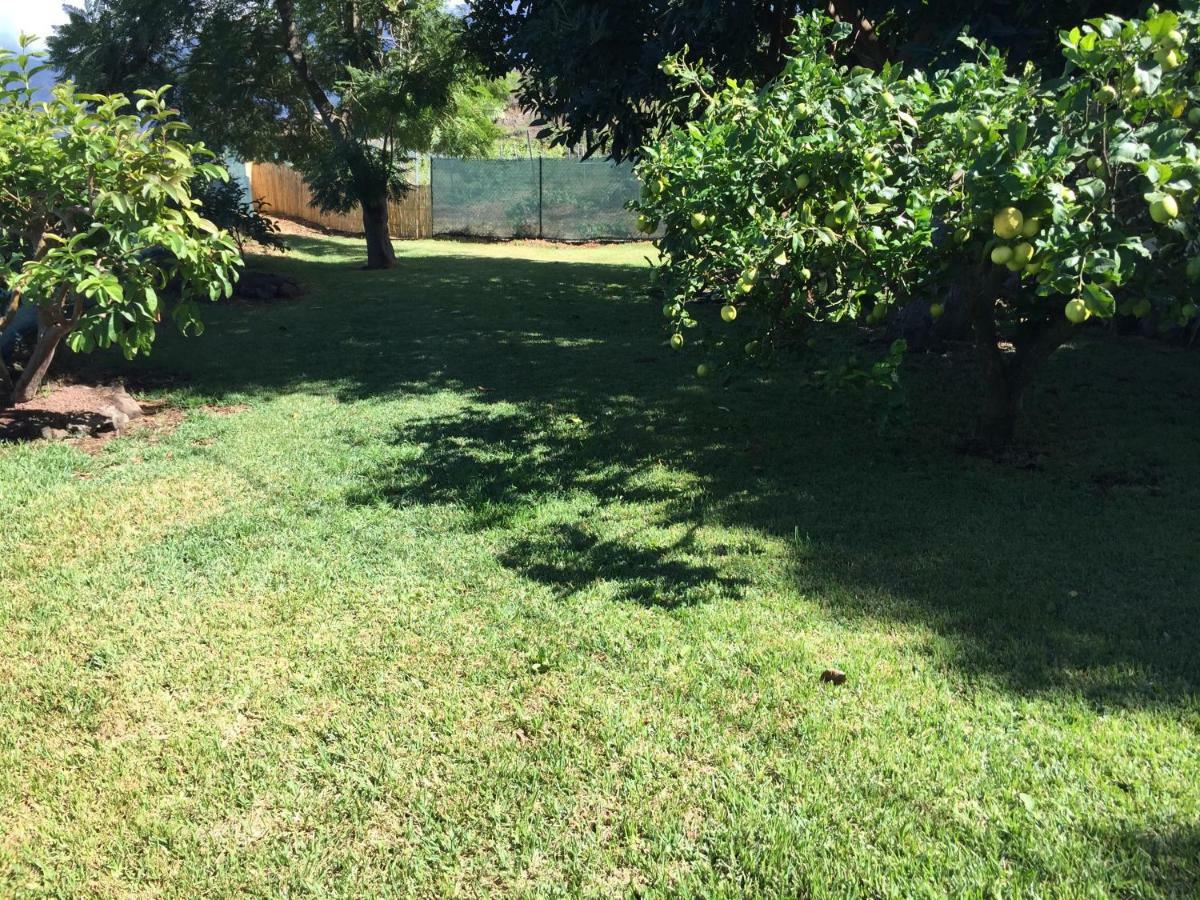 Casitas Las Uvas Y Las Vinas Los Realejos Bagian luar foto